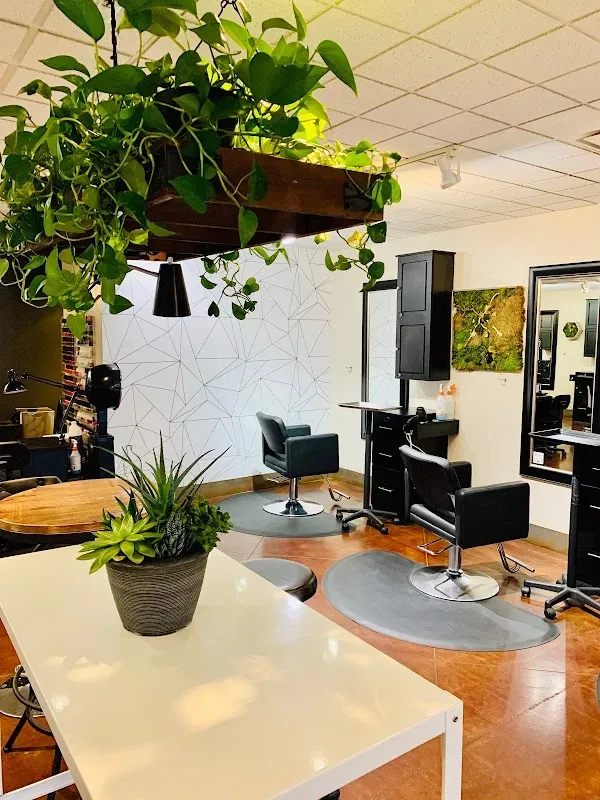 Studio: A Collective Of Stylists — Beauty salon in Denver